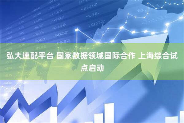 弘大速配平台 国家数据领域国际合作 上海综合试点启动