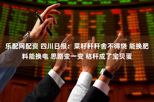 乐配网配资 四川日报：菜籽秆秆舍不得烧 能换肥料能换电 思路变一变 秸秆成了宝贝蛋