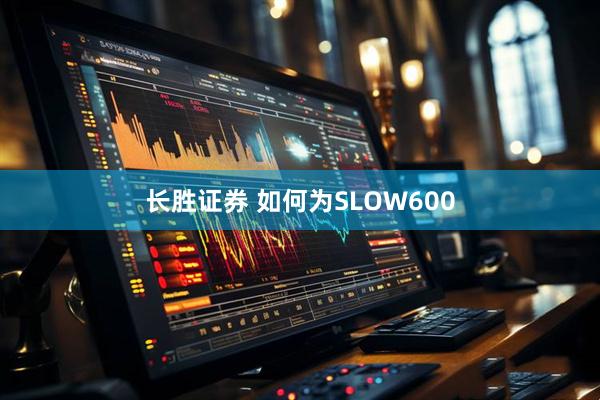长胜证券 如何为SLOW600